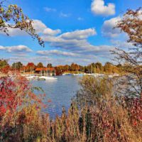 Rundwanderung um den Altmühlsee (Fränkisches Seenland) 10 fränkisches seenland wandern altmühlsee gunzenhausen landkreis roth altmühltal