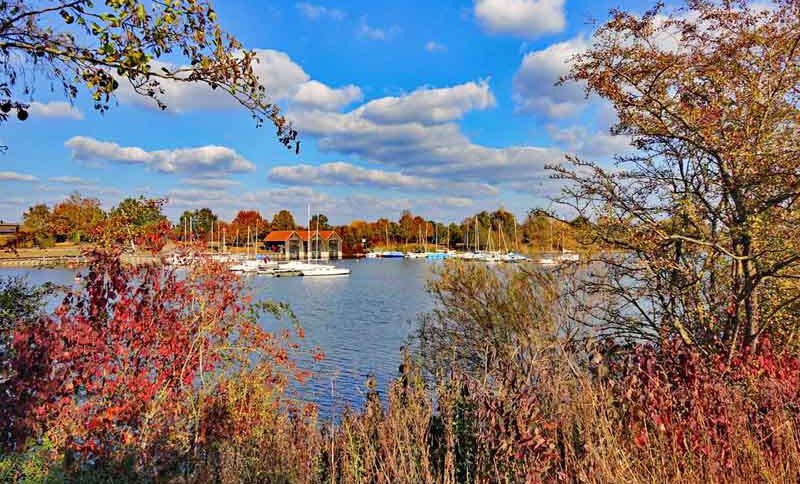 Rundwanderung um den Altmühlsee (Fränkisches Seenland) 2 fränkisches seenland wandern altmühlsee gunzenhausen landkreis roth altmühltal