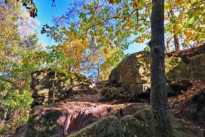 NATURSCHUTZGEBIETE IN NÜRNBERG 16 dr.-richard-sauber-weg ludwigskanal wendelstein landkreis roth