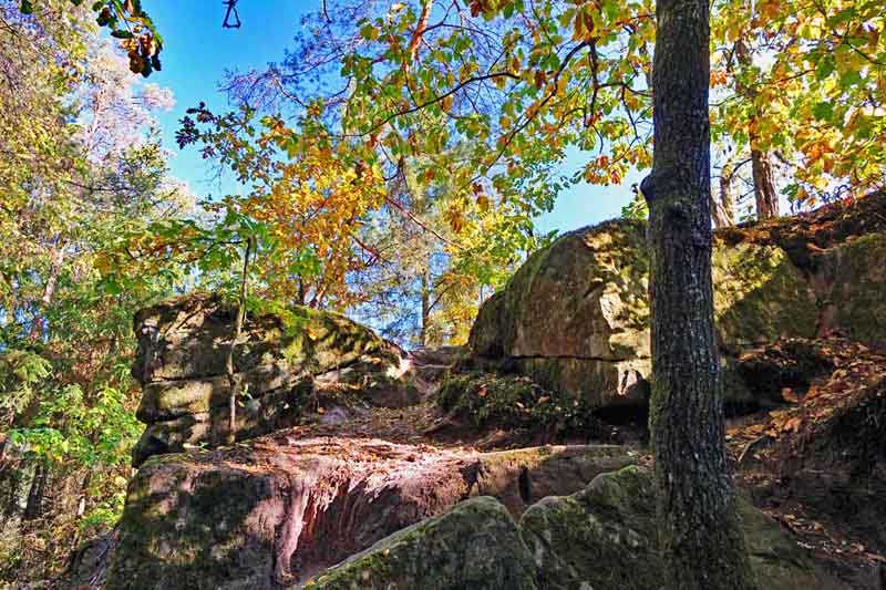 Kurze Wanderungen bis 5 km im Landkreis Roth 10 dr.-richard-sauber-weg ludwigskanal wendelstein landkreis roth