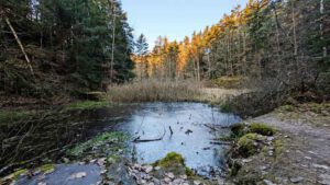 wernsloch wendelstein winter wandern nahe nürnberg