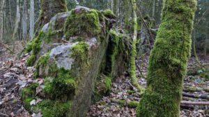 dr richard sauber weg wendelstein landkreis roth wandern