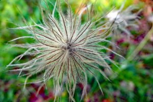 wiese ludwigswald wanderung weißenburg