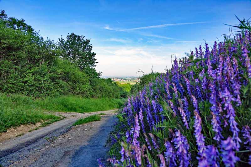 Die schönsten Wanderwege im Fränkischen Seenland - Teil 2 19 rundwanderung ludwigswald weißenburg