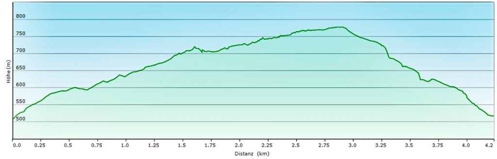 Urwald-Naturlehrpfad Lösershag (Rhön) 16 höhenprofil urwald lösershag