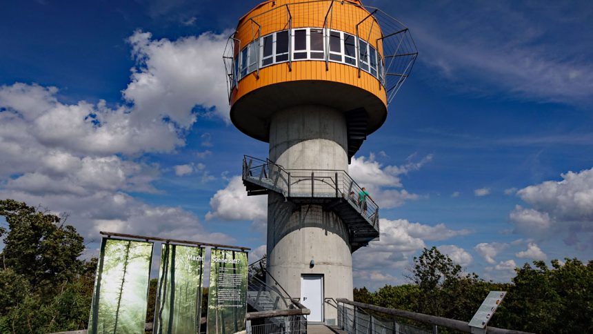baumkronenpfad nationalpark hainich urwaldpfad thüringen