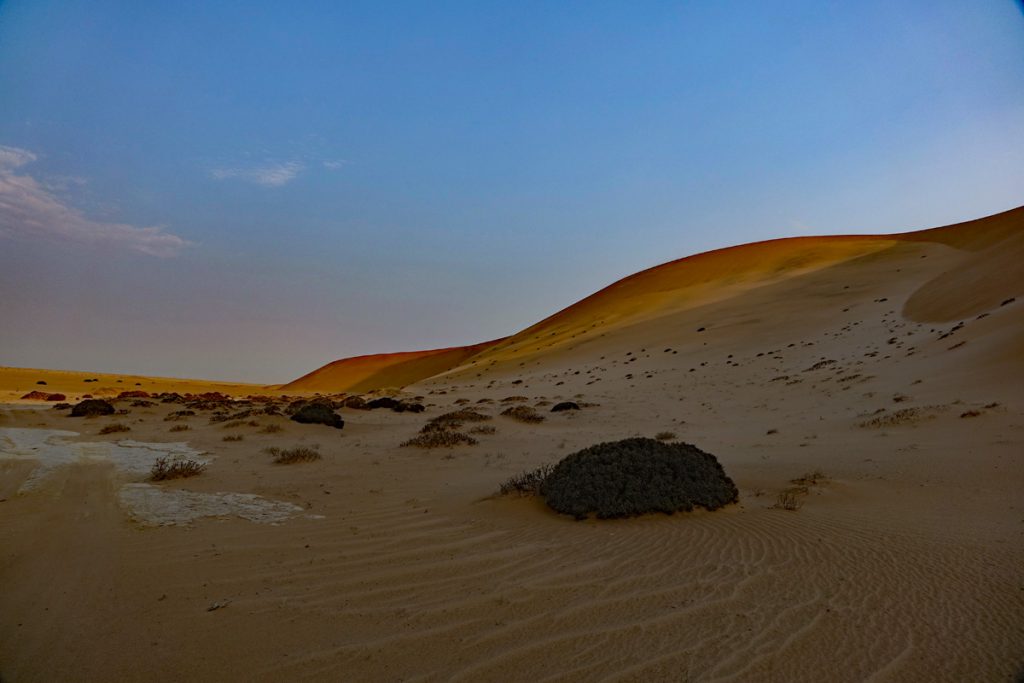 little five namibia swakopmund namib wüste