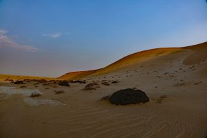 REISEVERSICHERUNGEN 12 little five namibia swakopmund namib wüste