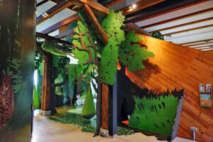 WILDKATZENDORF-HÜTSCHERODA im Nationalpark Hainich 10 besucherzentrum wildkatzendorf hütscheroda hainich