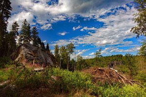 BRANDENBURG 24 felsentürme im bielatal