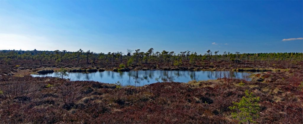 auge see schwarzes moor fladungen rhön