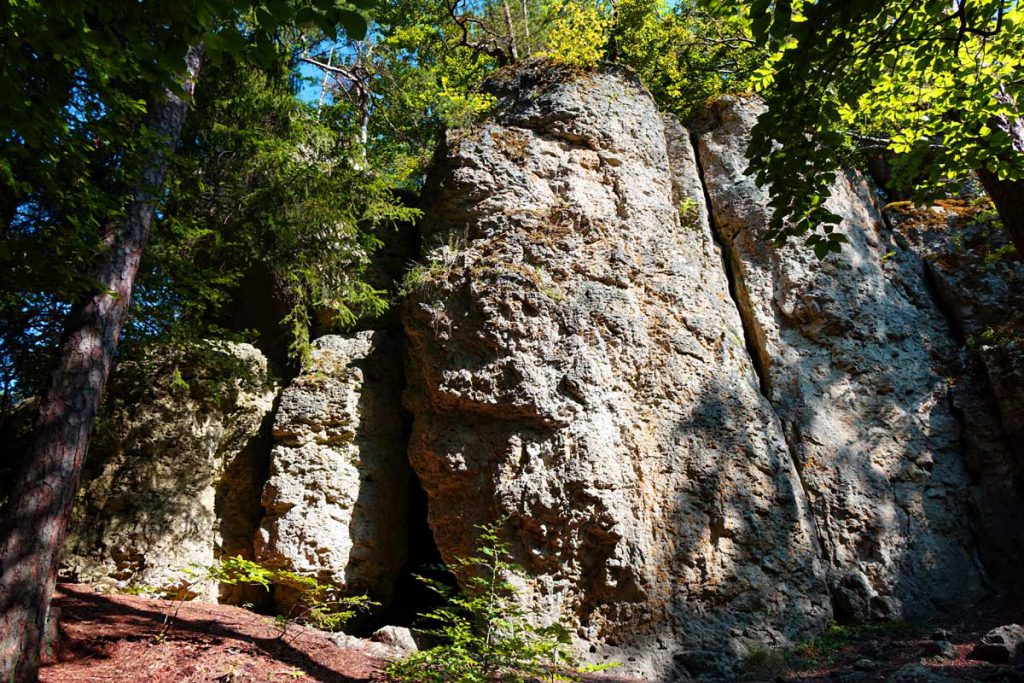 Wanderberge in der Oberpfalz - Teil 1 4 zauberwald-orchideenweg lichtenegg birgland oberpfalz