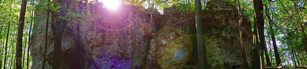 Zauberwald-Orchideenweg Lichtenegg (Oberpfalz) 8 türkenfelsen kletterfelsen lichtenegg birgland wandern orchideen