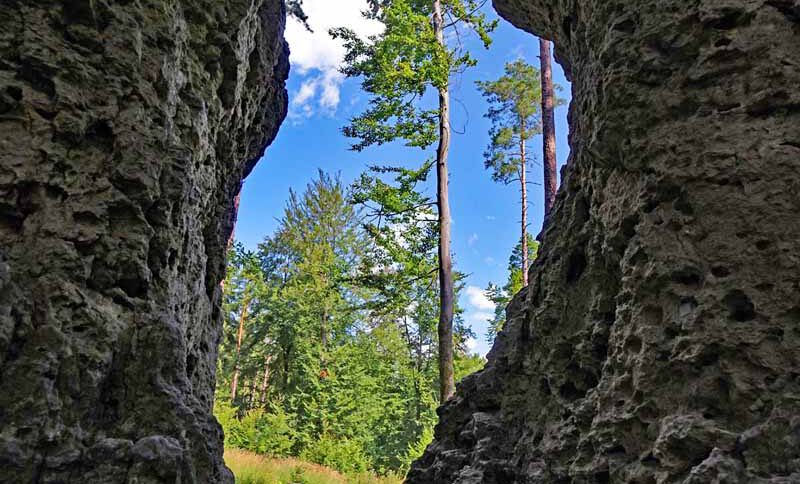 Zauberwald-Orchideenweg Lichtenegg (Oberpfalz) 2 türkenfelsen lichtenegg zauberwald-orchideenweg oberpfalz