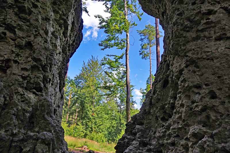 Die 10 schönsten Wanderungen in der Oberpfalz 14 türkenfelsen lichtenegg zauberwald-orchideenweg oberpfalz