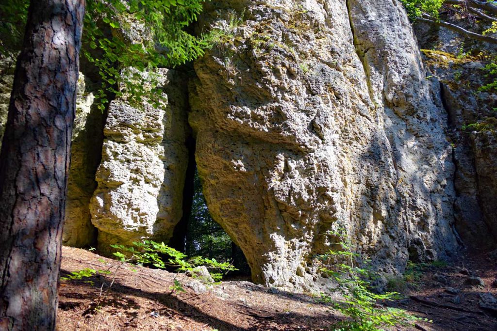 Zauberwald-Orchideenweg Lichtenegg (Oberpfalz) 4 türkenfelsen felsen lichtenegg zauberwald orchideenweg birgland