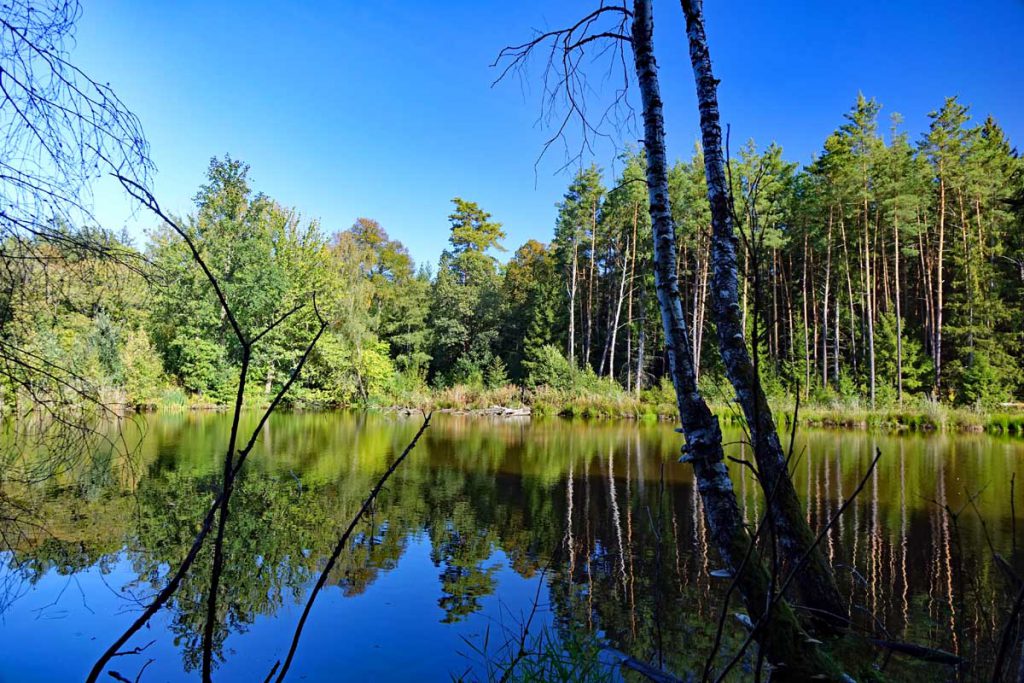 moorlandschaft weiher faberhof pyrbaum