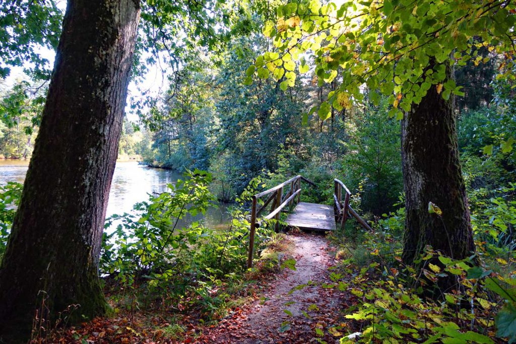 biberpfad faberwald pyrbaum