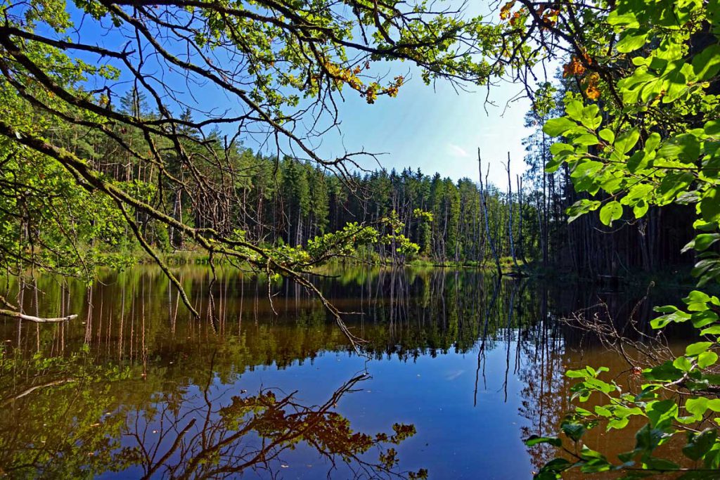 biberpfad wandern mit kindern faberhof pyrbaum