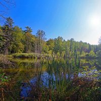faberhof pyrbaum biberpfad wandern weiher oberpfalz