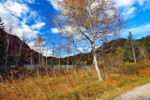 outdoor allgäu wandern alpsee schwansee hohenschwangau