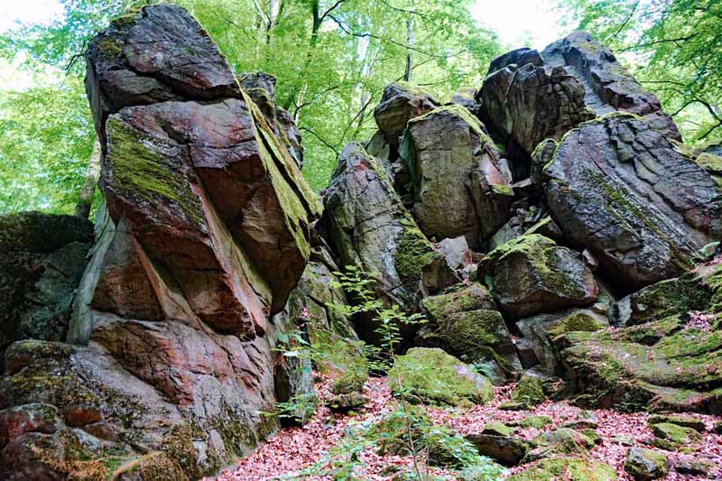 Rundwanderung um die Steinwand (Rhön) 5 wander mit kindern rhön ausflug steinwand