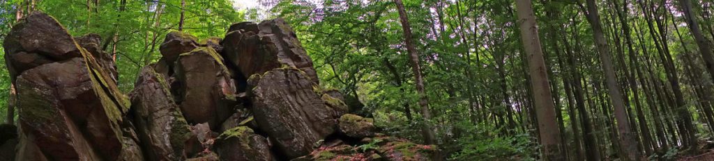 felsblöcke steinwand rhön