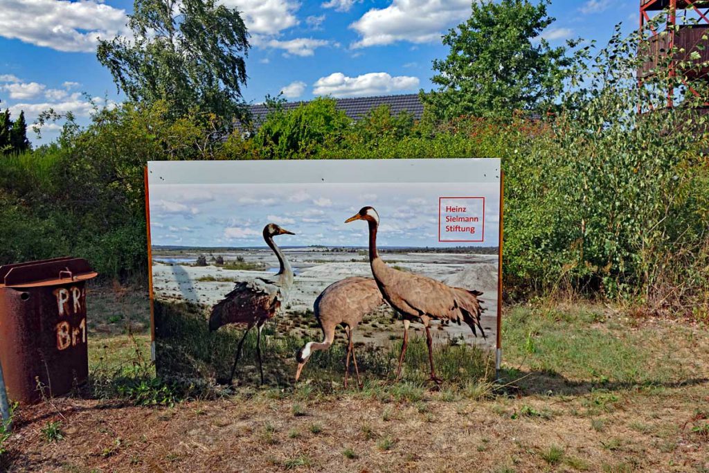 sielmanns naturlandschaften wanninchen heinz sielmann stiftung