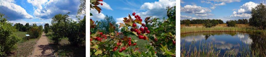 lehrpfad infozentrum sielmann stiftung wanninchen