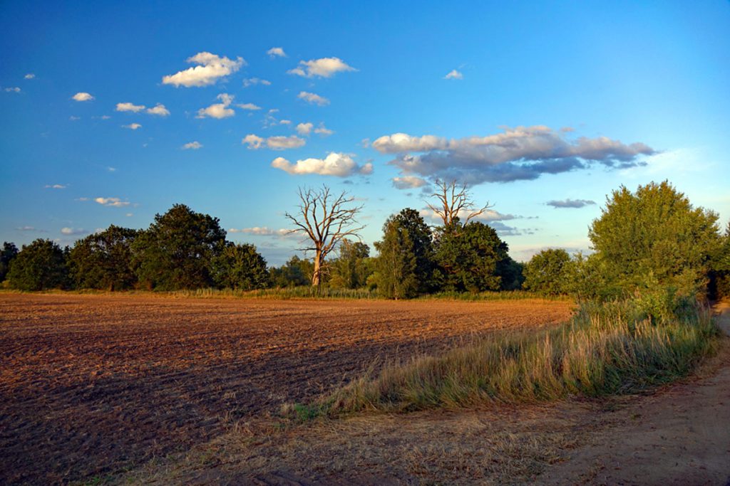 sonnenuntergang am naturschutzgebiet wanninchen tagebau