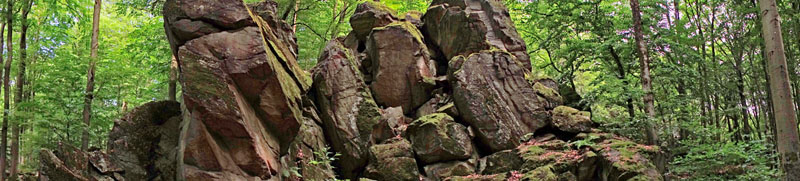 Rundwanderung um die Steinwand (Rhön) 10 die schönsten wanderungen in der rhön steinwand fulda