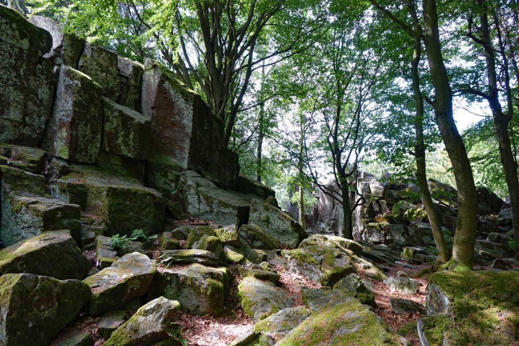 wandern in der rhoen hessen steinwand felsen klettern rundweg natur wald ausflug