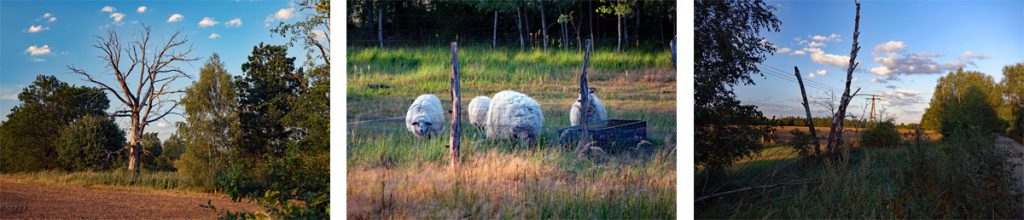 abendspaziergang schlabendorfer see wanninchen