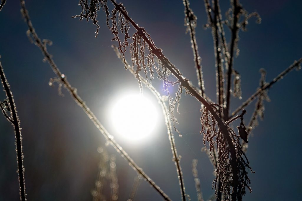 Winterwanderungen rund um Nürnberg 4 wandern im winter franken mittelfranken