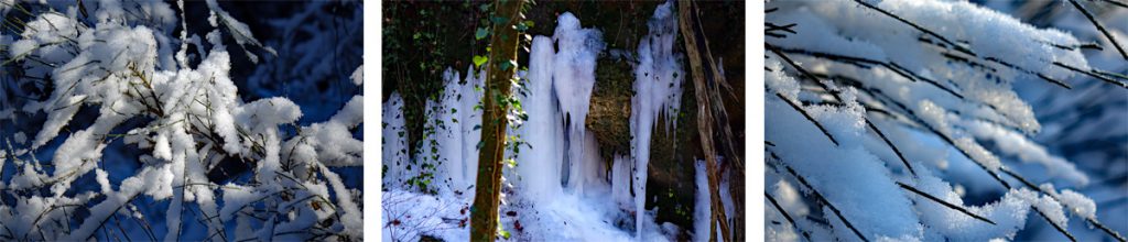 Winterwanderungen rund um Nürnberg 5 winterwanderungen nürnberg mittelfranken schnee