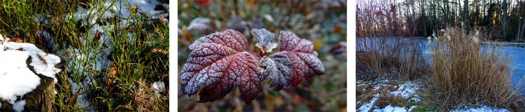 Winterwanderungen rund um Nürnberg 7 winterwanderungen schnee eis mittelfranken nürnberg