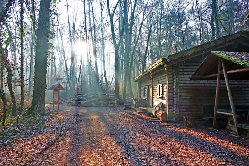 Wandern im Fürther Stadtwald - Marmaris-Wanderweg 17 ausflug wandern kinder waldlehrpfad stadtwald fürth försterei