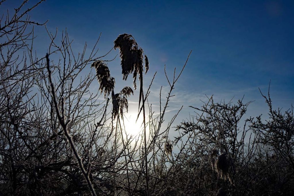 Auf dem Schönfeldweg zum Naturschutzgebiet Scheerweiher (Ansbach) 14 sonnenaufgang am scheerweiher ansbach