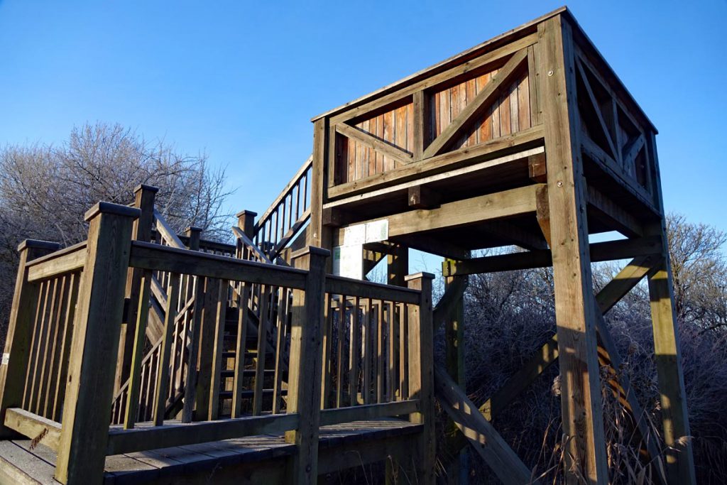 Auf dem Schönfeldweg zum Naturschutzgebiet Scheerweiher (Ansbach) 3 aussichtsplattform am scheerweiher in ansbach schalkhausen