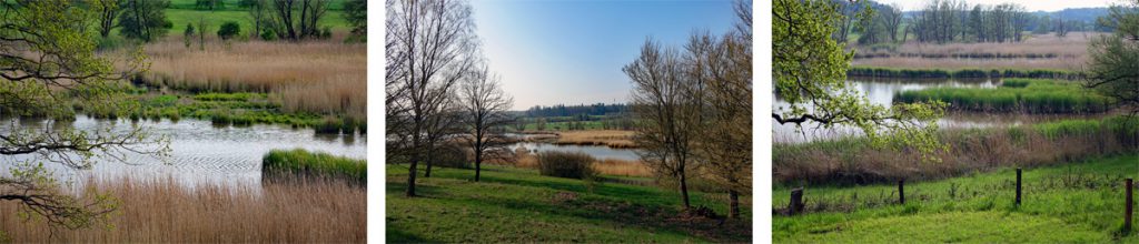Auf dem Schönfeldweg zum Naturschutzgebiet Scheerweiher (Ansbach) 5 naturschutzgebiet scheerweiher ansbach auf dem schönfeldweg