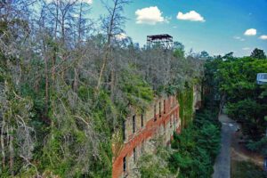 baumkronenpfad beelitz heilstätten baum und zeit berlin potsdam brandenburg lost place