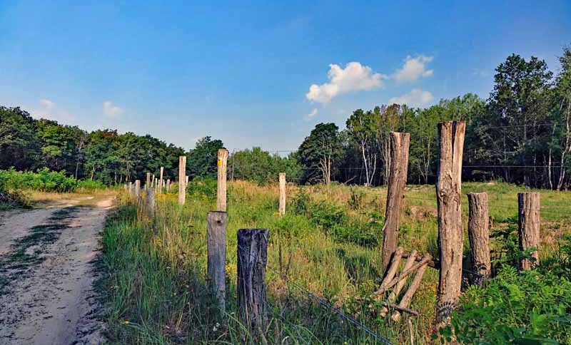 sielmanns naturlandschaft döberitzer heide wanderung rundtour