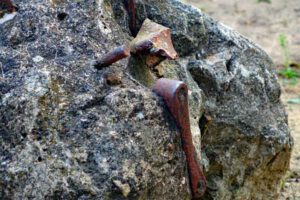 truppenübungsplatz döberitzer heide sielmann naturschutzgebiet rundweg wandern