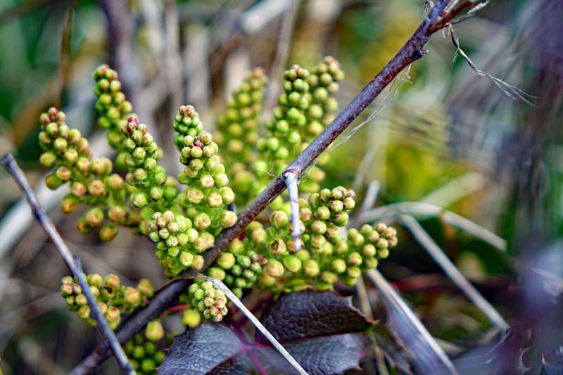 Wanderweg Brombachsee 21 - Burg Wernfels (Fränkisches Seenland) 19 wandern im fränkischen seenland wernfels brombachsee 21