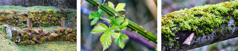 Wanderweg Brombachsee 21 - Burg Wernfels (Fränkisches Seenland) 4 burg wernfels fränkisches seenland wandern rundweg brombachsee 21