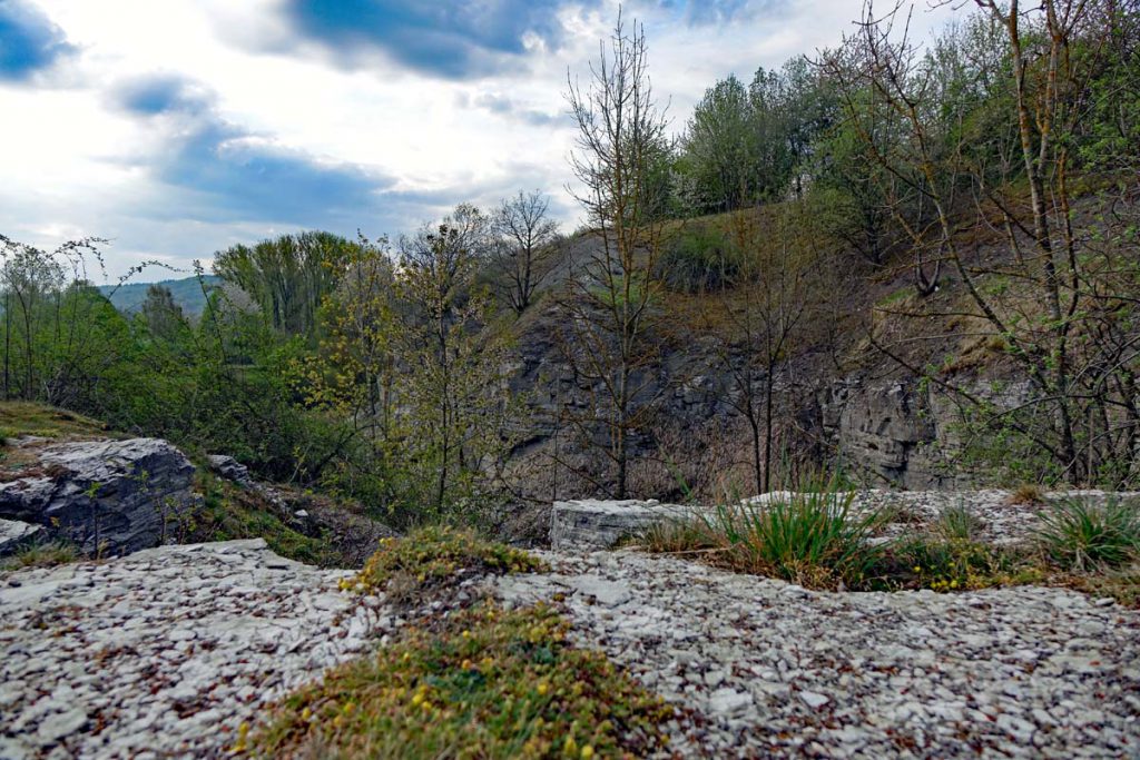 Wandern im Landkreis Ansbach - Auf dem Lehrpfad um das Geotop Gipsbruch Endsee 21 blick in den gipsbruch endsee ehemaliger steinbruch bad windsbach geotop