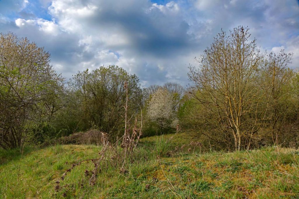Wandern im Landkreis Ansbach - Auf dem Lehrpfad um das Geotop Gipsbruch Endsee 24 gipsbruch endsee biotop lehrpfad wandern landkreis ansbach