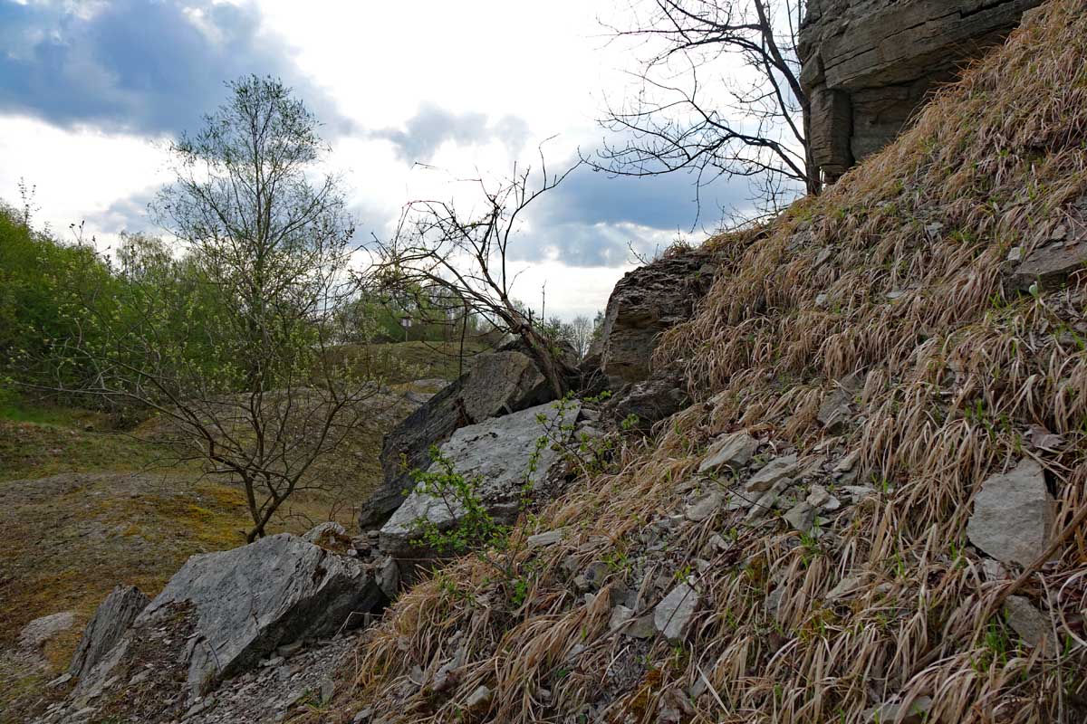 geotop im landkreis ansbach mittelfranken rothenburg gipsbruch endsee naturschutzgebiet steinbruch flanke