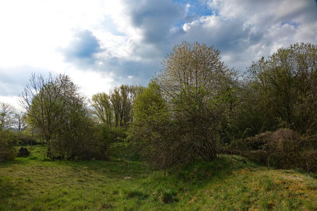 Wandern im Landkreis Ansbach - Auf dem Lehrpfad um das Geotop Gipsbruch Endsee 26 gipsbruch endsee wandern geotope bayern mittelfranken rundweg lehrpfad