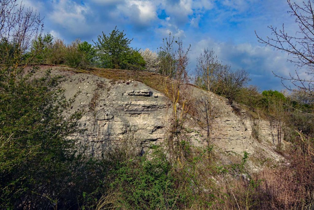 Wandern im Landkreis Ansbach - Auf dem Lehrpfad um das Geotop Gipsbruch Endsee 28 gipsbruch endsee bayern franken ansbach frankenhöhe geotope